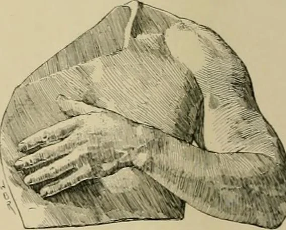 An illustration from Catalogue of plaster cast reproductions from antique, medieval and modern sculpture., 1894, leaf 155