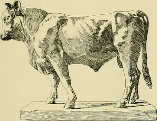 An illustration from Catalogue of plaster cast reproductions from antique, medieval and modern sculpture., 1894, leaf 160