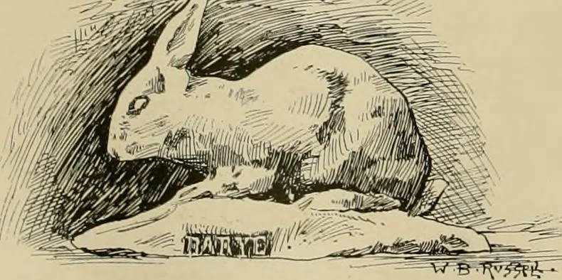 An illustration from Catalogue of plaster cast reproductions from antique, medieval and modern sculpture., 1894, leaf 165
