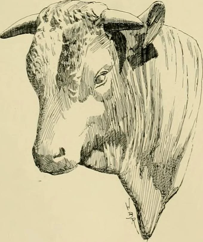 An illustration from Catalogue of plaster cast reproductions from antique, medieval and modern sculpture., 1894, leaf 168