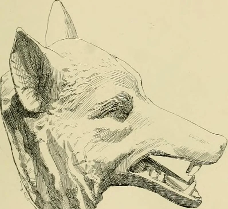 An illustration from Catalogue of plaster cast reproductions from antique, medieval and modern sculpture., 1894, leaf 170