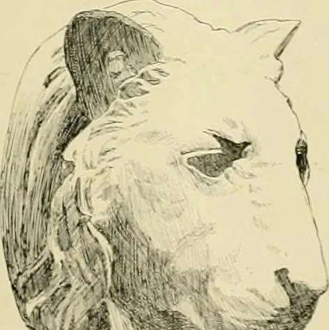 An illustration from Catalogue of plaster cast reproductions from antique, medieval and modern sculpture., 1894, leaf 170