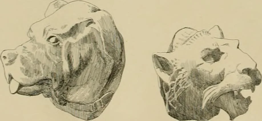 An illustration from Catalogue of plaster cast reproductions from antique, medieval and modern sculpture., 1894, leaf 171