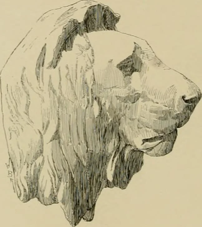 An illustration from Catalogue of plaster cast reproductions from antique, medieval and modern sculpture., 1894, leaf 173