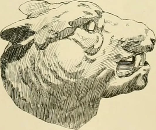 An illustration from Catalogue of plaster cast reproductions from antique, medieval and modern sculpture., 1894, leaf 174