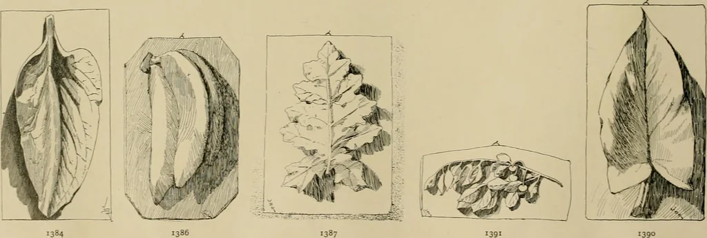 An illustration from Catalogue of plaster cast reproductions from antique, medieval and modern sculpture., 1894, leaf 177