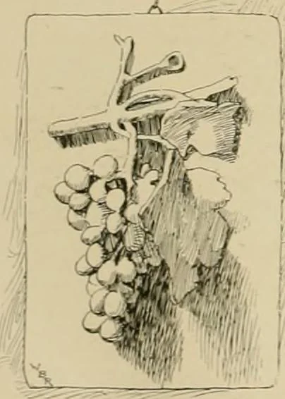 An illustration from Catalogue of plaster cast reproductions from antique, medieval and modern sculpture., 1894, leaf 179
