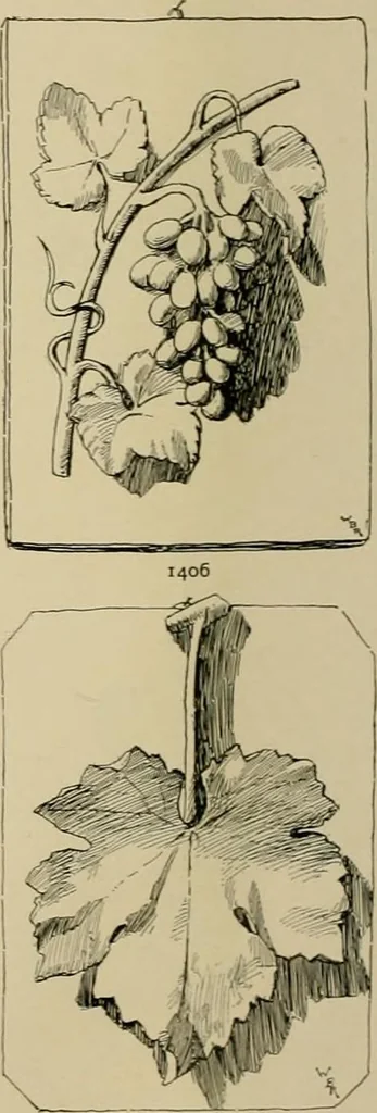 An illustration from Catalogue of plaster cast reproductions from antique, medieval and modern sculpture., 1894, leaf 179