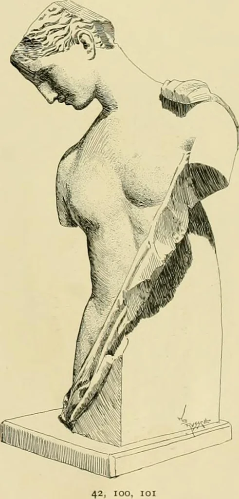 An illustration from Catalogue of plaster cast reproductions from antique, medieval and modern sculpture., 1894, leaf 18