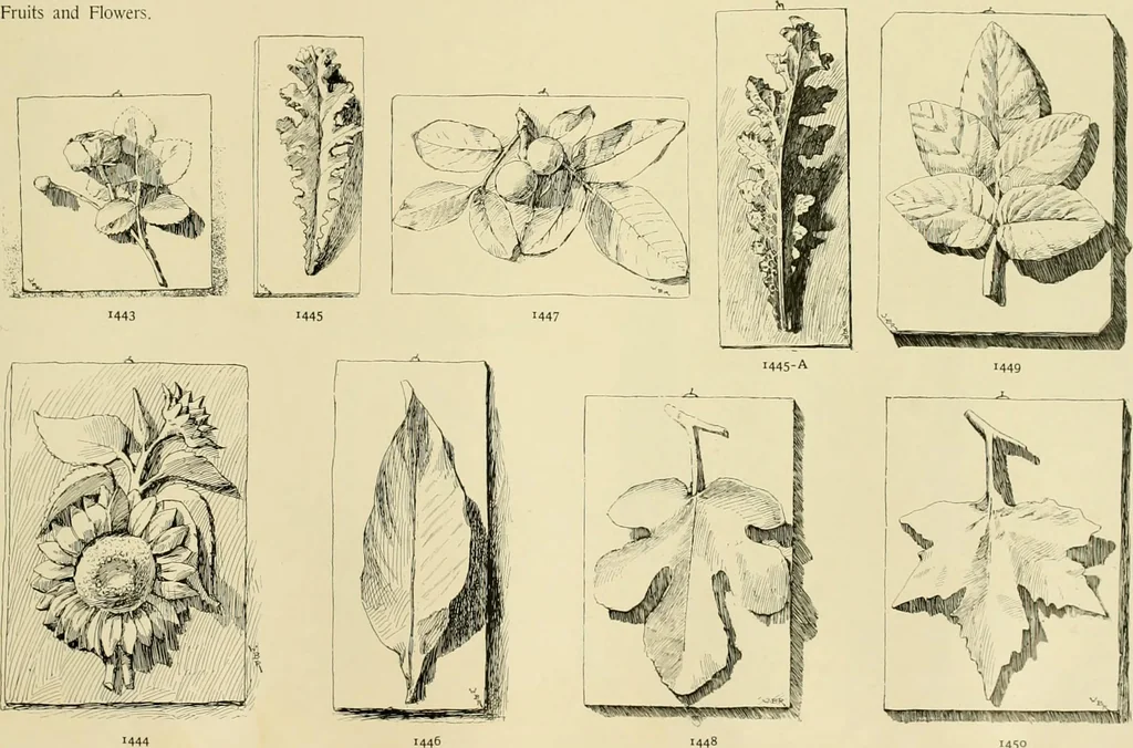 An illustration from Catalogue of plaster cast reproductions from antique, medieval and modern sculpture., 1894, leaf 184