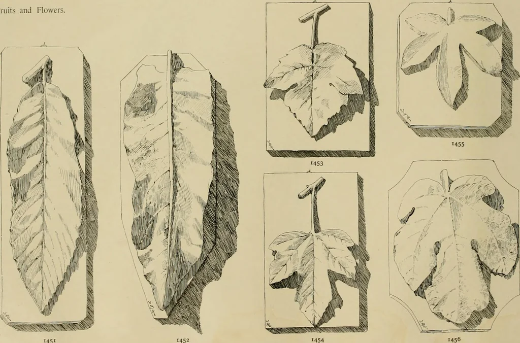 An illustration from Catalogue of plaster cast reproductions from antique, medieval and modern sculpture., 1894, leaf 185