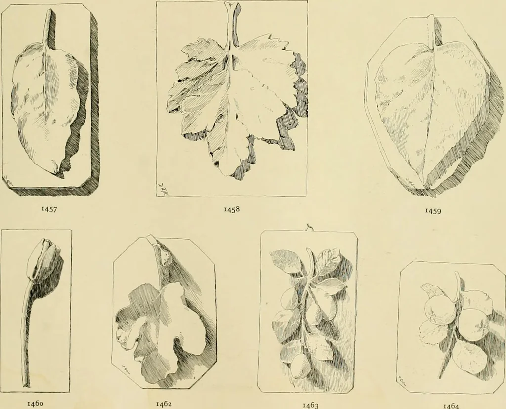 An illustration from Catalogue of plaster cast reproductions from antique, medieval and modern sculpture., 1894, leaf 186