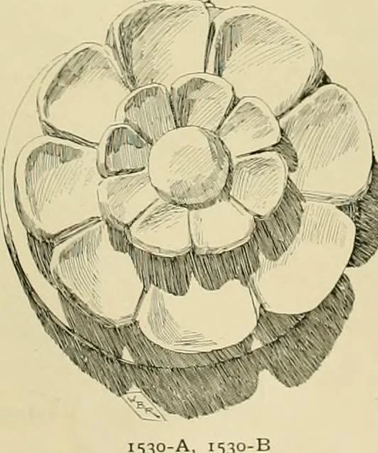 An illustration from Catalogue of plaster cast reproductions from antique, medieval and modern sculpture., 1894, leaf 198