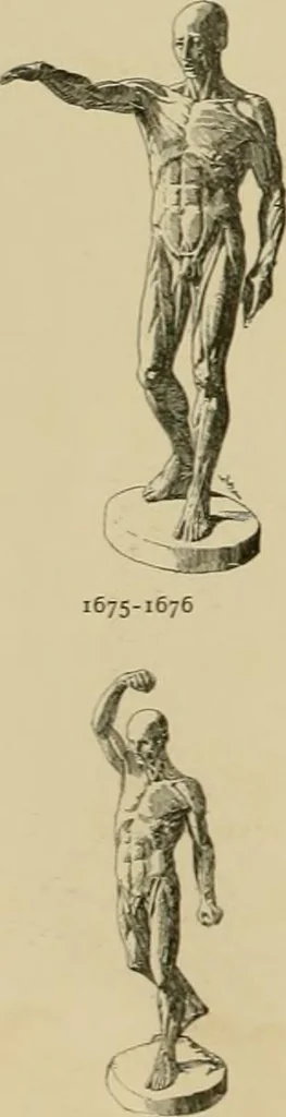 An illustration from Catalogue of plaster cast reproductions from antique, medieval and modern sculpture., 1894, leaf 223