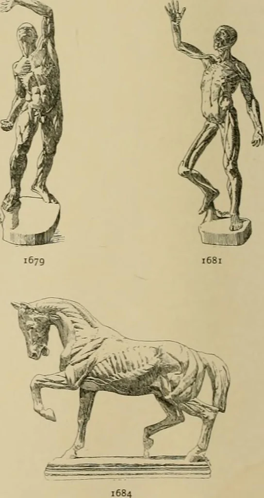 An illustration from Catalogue of plaster cast reproductions from antique, medieval and modern sculpture., 1894, leaf 223