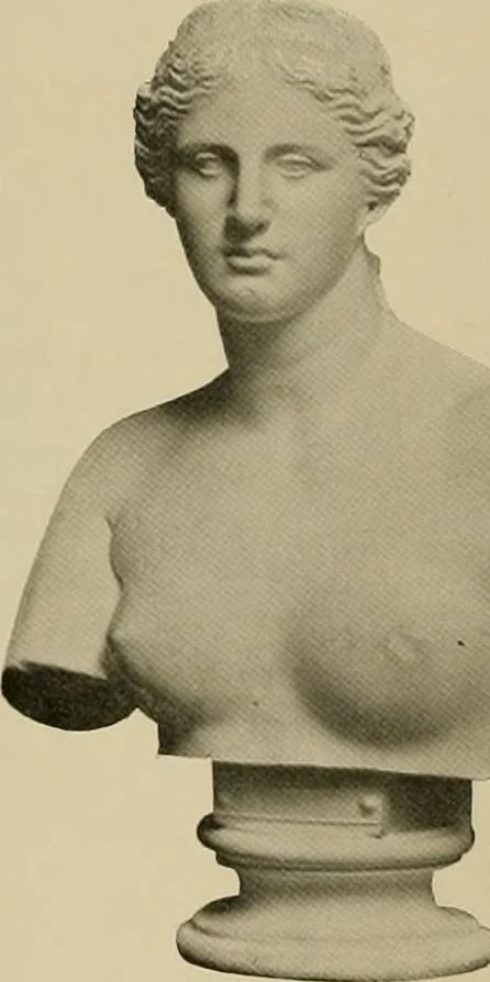 An illustration from Catalogue of plaster cast reproductions from antique, medieval and modern sculpture., 1894, leaf 49