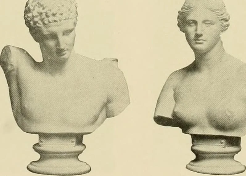 An illustration from Catalogue of plaster reproductions from antique, medieval and modern sculpture : subjects for art schools made and for sale by P.P. Caproni, 1913, leaf 40