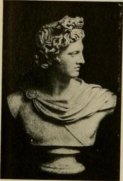 An illustration from Catalogue of plaster reproductions from antique, medieval and modern sculpture : subjects for art schools made and for sale by P.P. Caproni, 1913, leaf 41