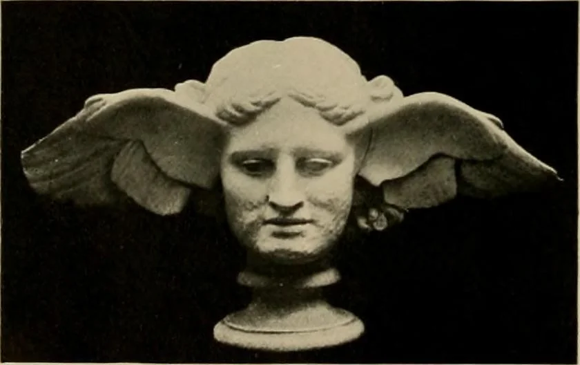 An illustration from Catalogue of plaster reproductions from antique, medieval and modern sculpture : subjects for art schools made and for sale by P.P. Caproni, 1913, leaf 41