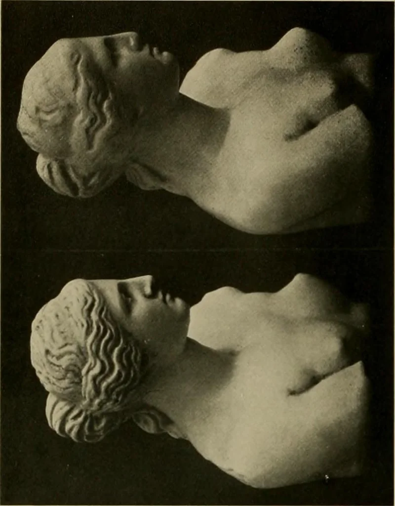 An illustration from Catalogue of plaster reproductions from antique, medieval and modern sculpture : subjects for art schools made and for sale by P.P. Caproni, 1913, leaf 5