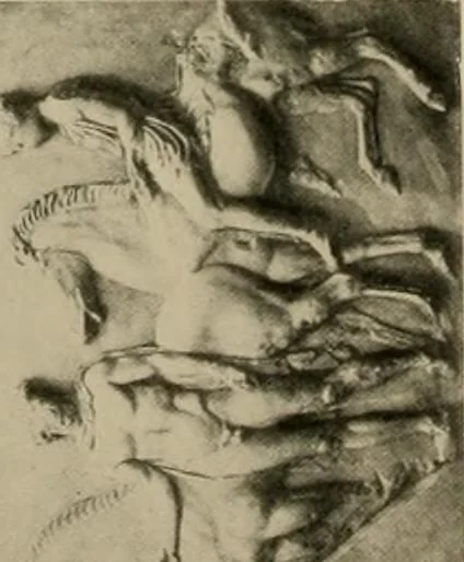 An illustration from Catalogue of plaster reproductions from antique, medieval and modern sculpture : subjects for art schools made and for sale by P.P. Caproni, 1913, leaf 67