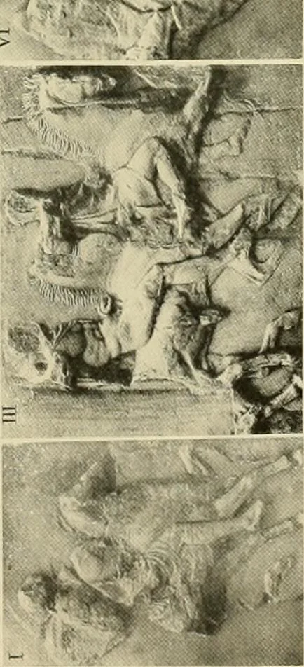 An illustration from Catalogue of plaster reproductions from antique, medieval and modern sculpture : subjects for art schools made and for sale by P.P. Caproni, 1913, leaf 68