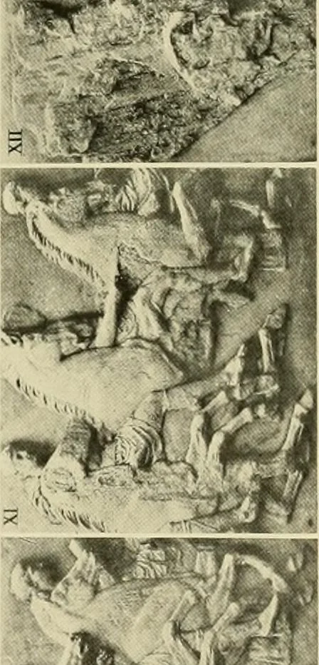 An illustration from Catalogue of plaster reproductions from antique, medieval and modern sculpture : subjects for art schools made and for sale by P.P. Caproni, 1913, leaf 68