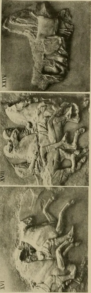 An illustration from Catalogue of plaster reproductions from antique, medieval and modern sculpture : subjects for art schools made and for sale by P.P. Caproni, 1913, leaf 69