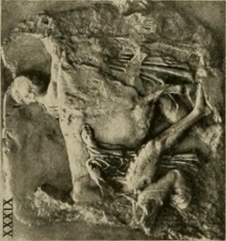 An illustration from Catalogue of plaster reproductions from antique, medieval and modern sculpture : subjects for art schools made and for sale by P.P. Caproni, 1913, leaf 69