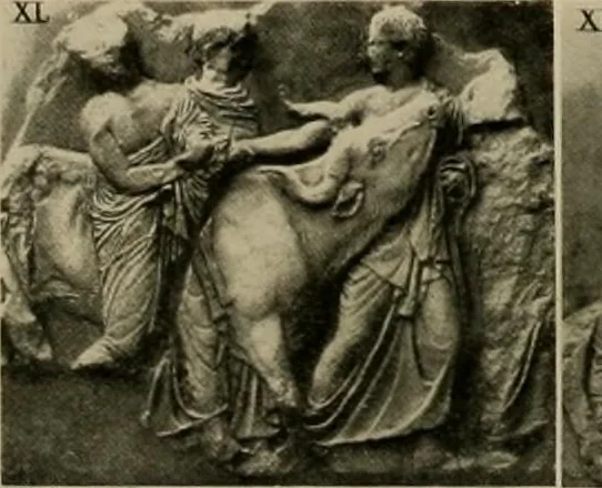 An illustration from Catalogue of plaster reproductions from antique, medieval and modern sculpture : subjects for art schools made and for sale by P.P. Caproni, 1913, leaf 69