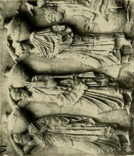 An illustration from Catalogue of plaster reproductions from antique, medieval and modern sculpture : subjects for art schools made and for sale by P.P. Caproni, 1913, leaf 70