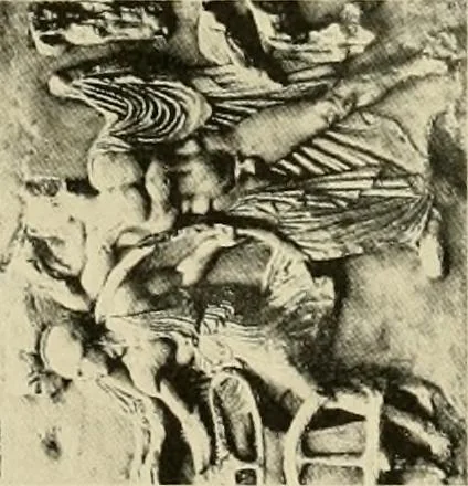 An illustration from Catalogue of plaster reproductions from antique, medieval and modern sculpture : subjects for art schools made and for sale by P.P. Caproni, 1913, leaf 70
