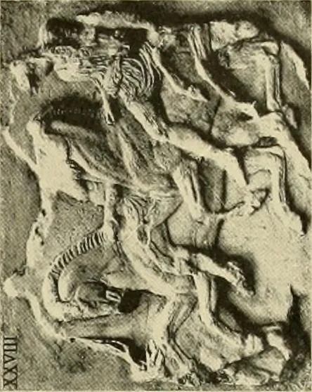 An illustration from Catalogue of plaster reproductions from antique, medieval and modern sculpture : subjects for art schools made and for sale by P.P. Caproni, 1913, leaf 70