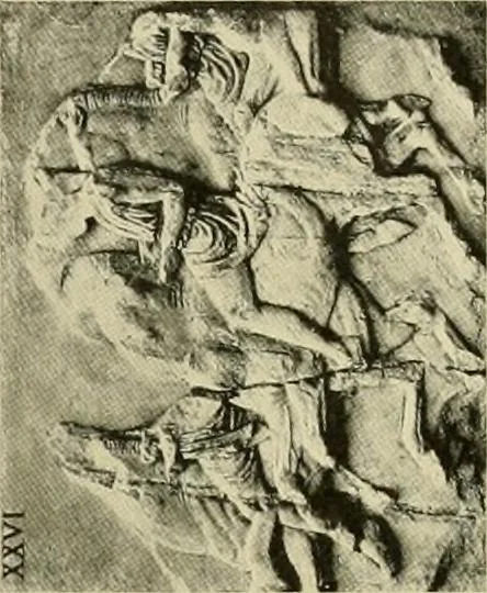 An illustration from Catalogue of plaster reproductions from antique, medieval and modern sculpture : subjects for art schools made and for sale by P.P. Caproni, 1913, leaf 70