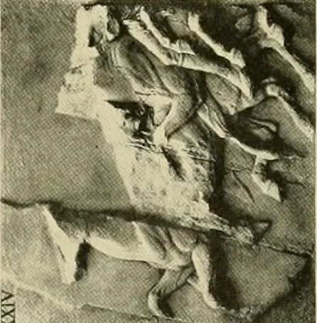 An illustration from Catalogue of plaster reproductions from antique, medieval and modern sculpture : subjects for art schools made and for sale by P.P. Caproni, 1913, leaf 70