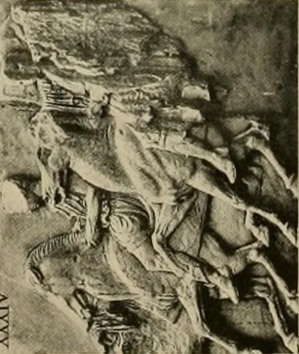 An illustration from Catalogue of plaster reproductions from antique, medieval and modern sculpture : subjects for art schools made and for sale by P.P. Caproni, 1913, leaf 71
