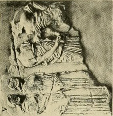 An illustration from Catalogue of plaster reproductions from antique, medieval and modern sculpture : subjects for art schools made and for sale by P.P. Caproni, 1913, leaf 72
