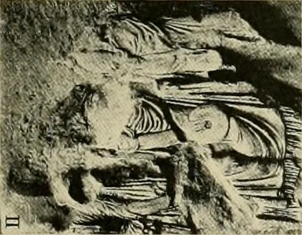 An illustration from Catalogue of plaster reproductions from antique, medieval and modern sculpture : subjects for art schools made and for sale by P.P. Caproni, 1913, leaf 72