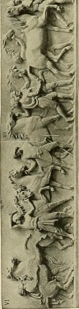 An illustration from Catalogue of plaster reproductions from antique, medieval and modern sculpture : subjects for art schools made and for sale by P.P. Caproni, 1913, leaf 88