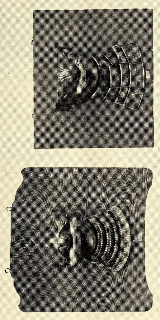 An illustration from Catalogue of rare and superb collection of antique clocks, armors and musical instruments from Japan and China, 1904, leaf 35