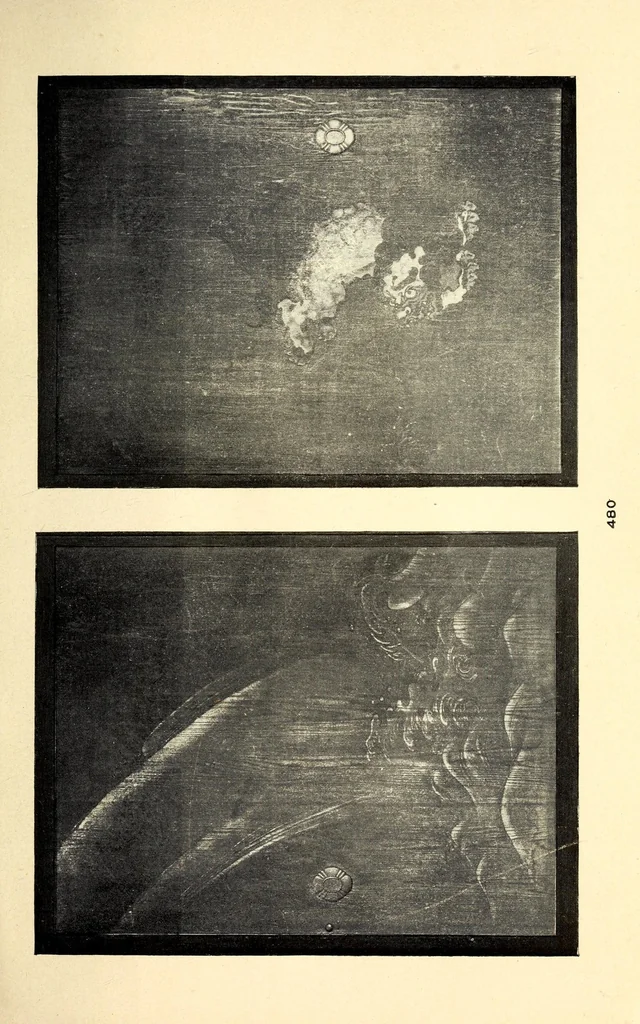 An illustration from Catalogue of remarkable antique carvings taken from famous temples and palaces of old Japan : recently brought to this country by B. Matsuki, Tokyo, 1902, leaf 147