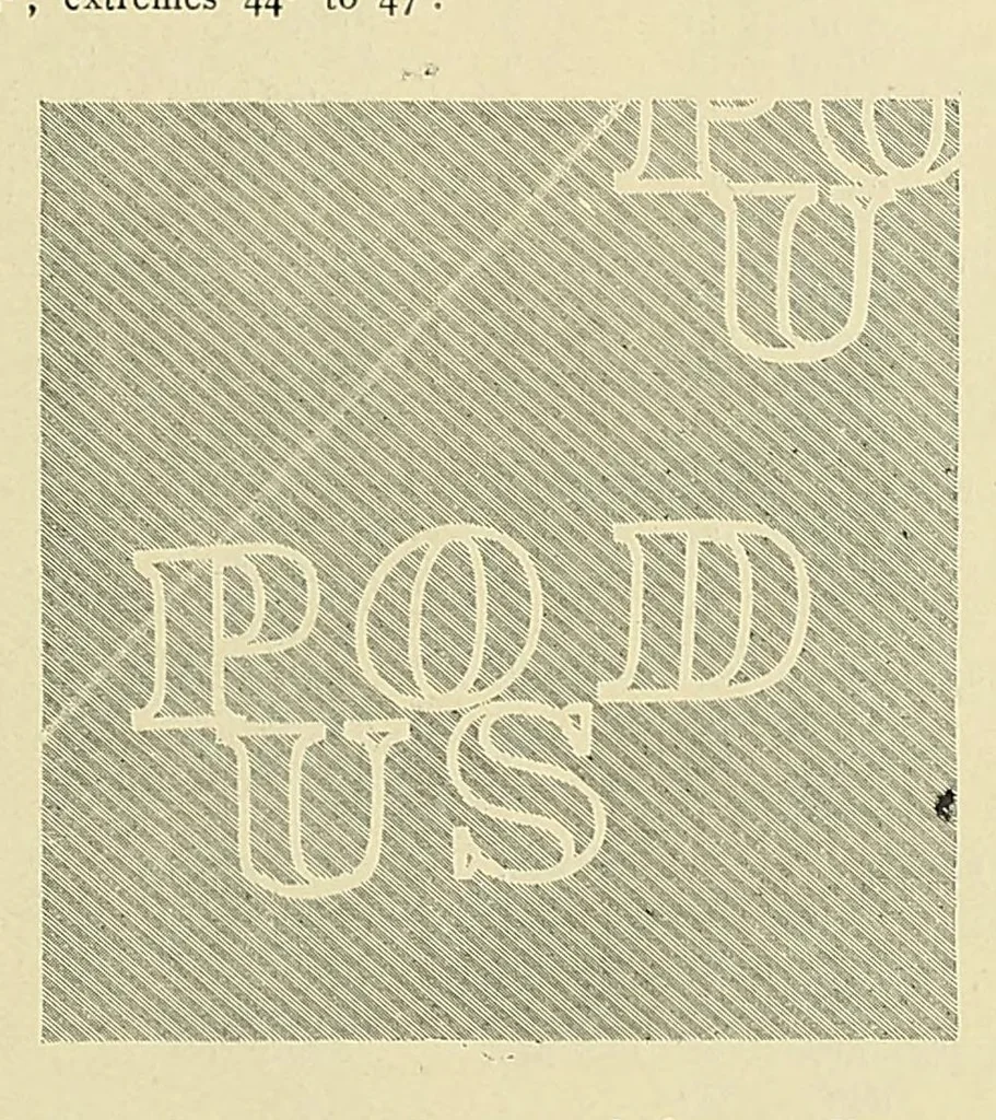 An illustration from Catalogue of the stamps, envelopes and wrappers of the United States of American and of the Confederate States of America, 1900, leaf 53
