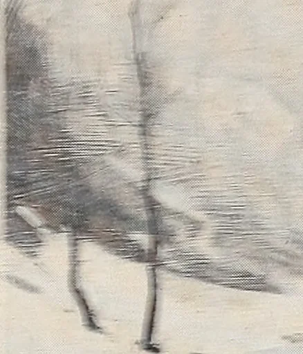 An illustration from Catalogue of summer exhibition, 1906., 1906, leaf 34