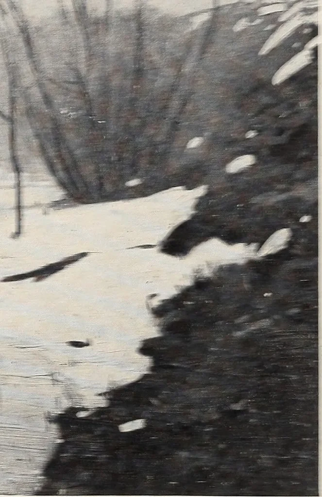 An illustration from Catalogue of summer exhibition, 1906., 1906, leaf 34