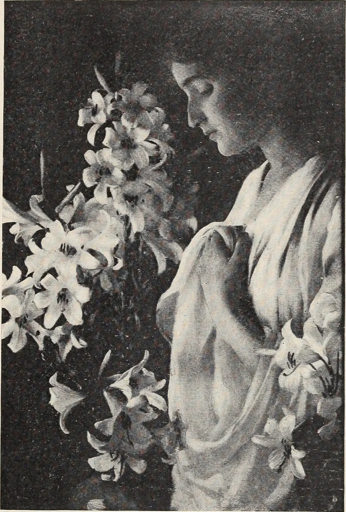 An illustration from Catalogue of summer exhibition, 1906., 1906, leaf 8