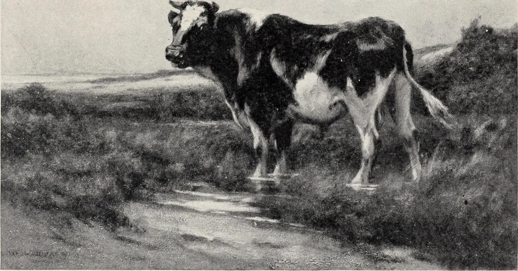 An illustration from Catalogue of summer exhibition, 1907., 1907, leaf 16