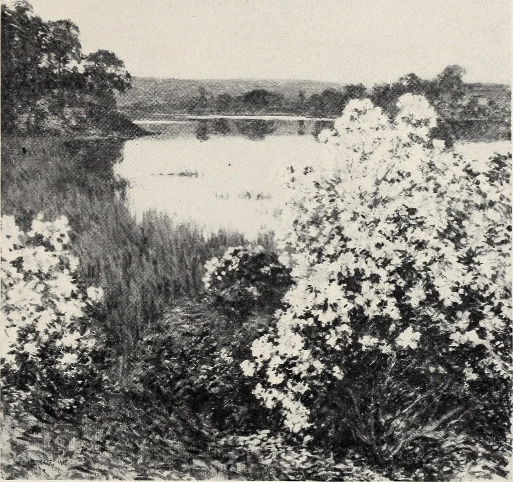 An illustration from Catalogue of summer exhibition, 1907., 1907, leaf 46