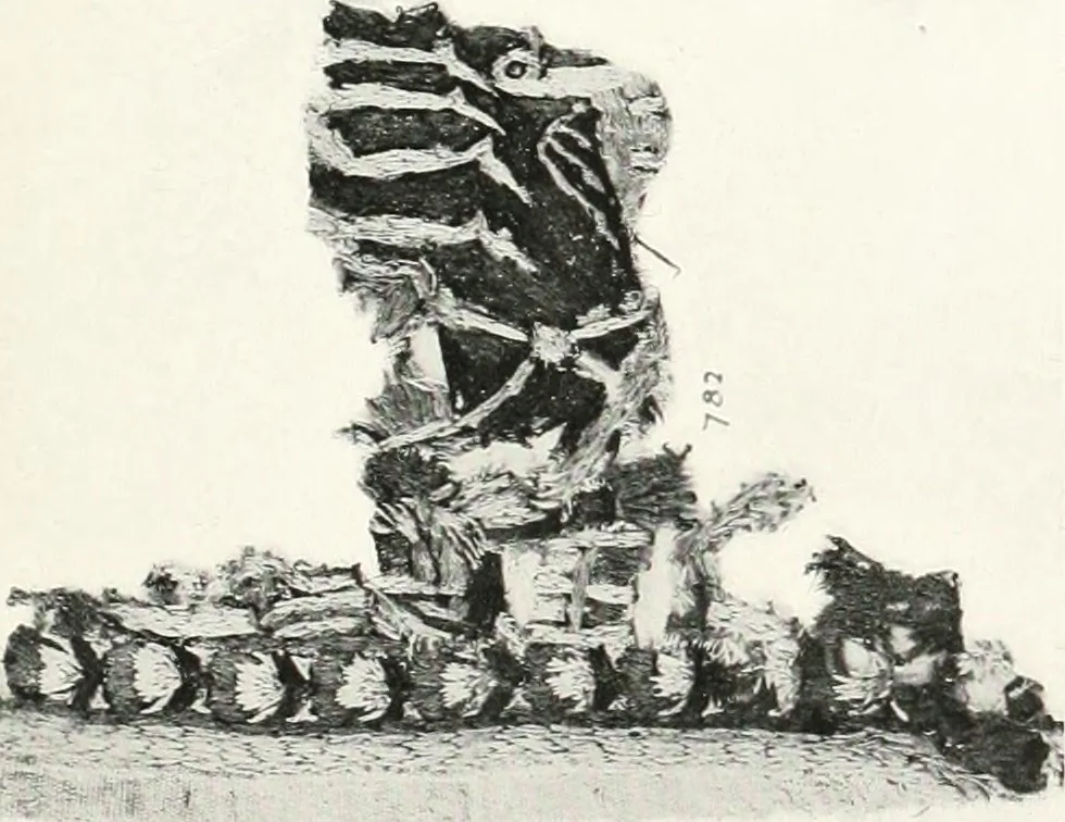 An illustration from Catalogue of textiles from burying-grounds in Egypt, 1920, leaf 142