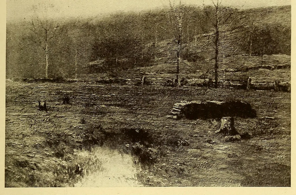 An illustration from Catalogue of the Walter H. Schulze gallery of American paintings, 1920, leaf 29