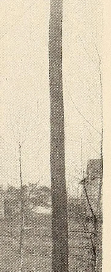 An illustration from Catalogue of the works of art belonging to the city of New York, 1909, leaf 711